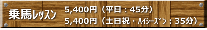 乗馬ﾚｯｽﾝ