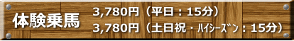 体験乗馬